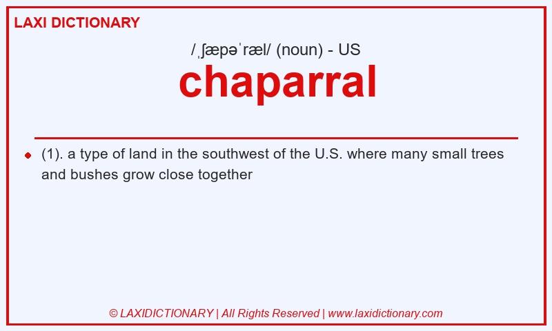 Definition chaparral in American English