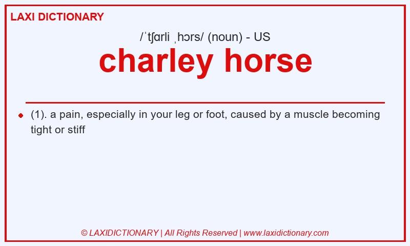 Definition charley horse in American English