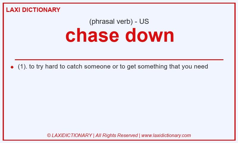 Definition chase down in American English