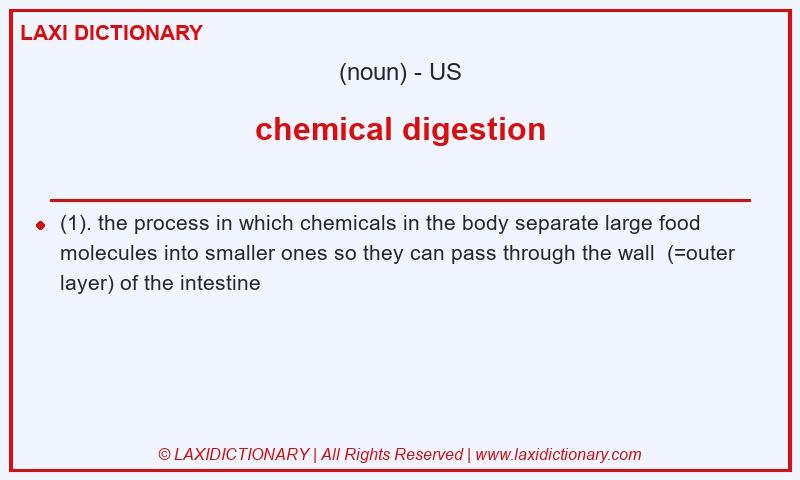 Definition chemical digestion in American English
