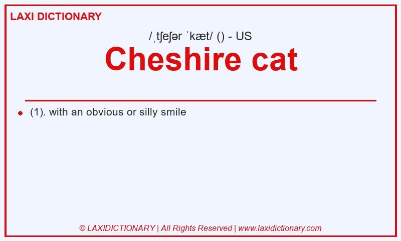 Definition Cheshire cat in American English
