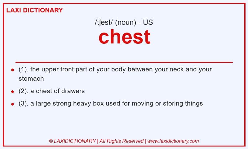 Definition chest in American English