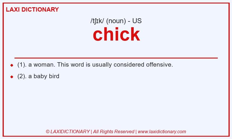 Definition chick in American English