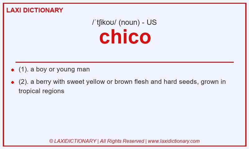 Definition chico in American English