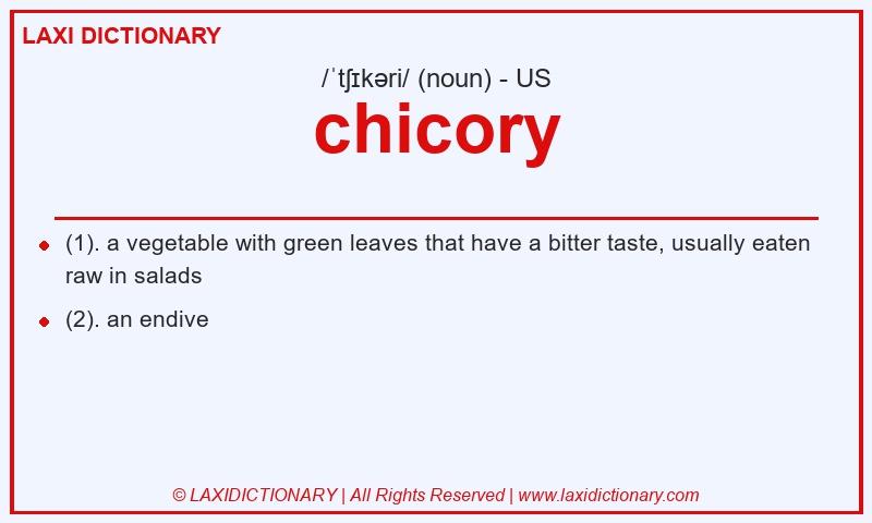 Definition chicory in American English