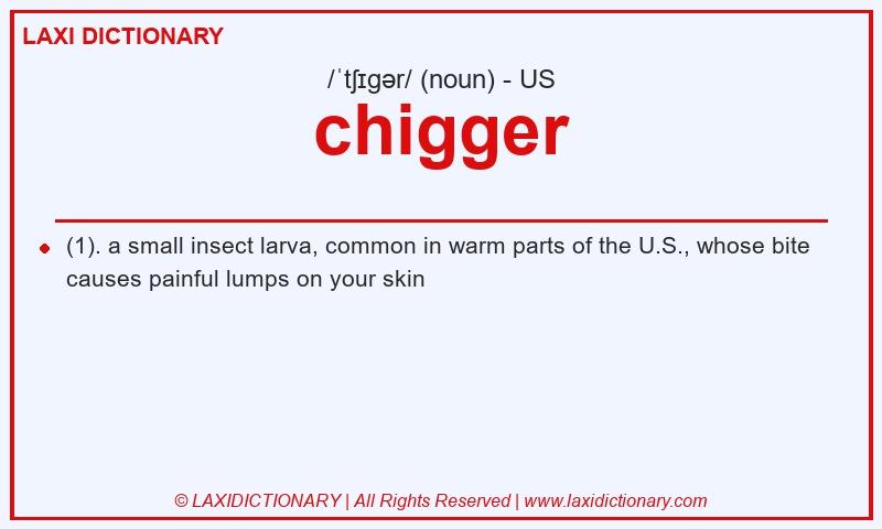 Definition chigger in American English