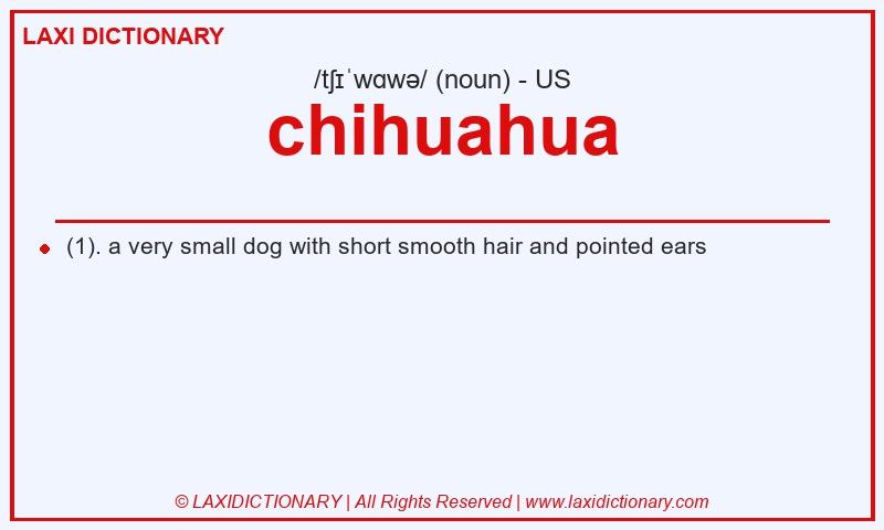 Definition chihuahua in American English