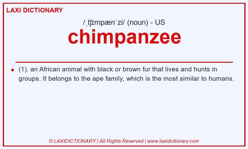 Definition chimpanzee in American English