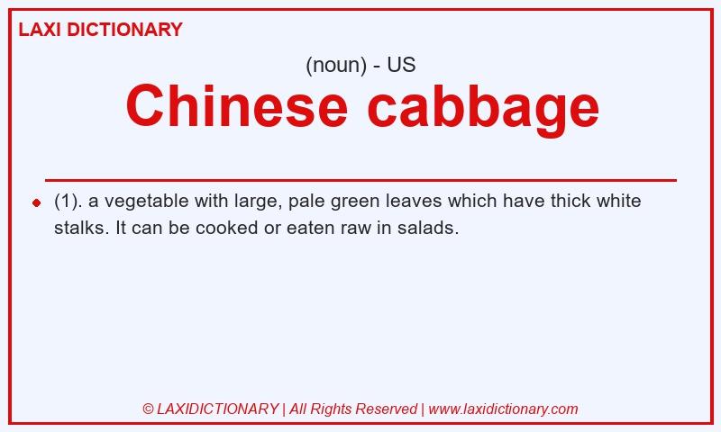 Definition Chinese cabbage in American English
