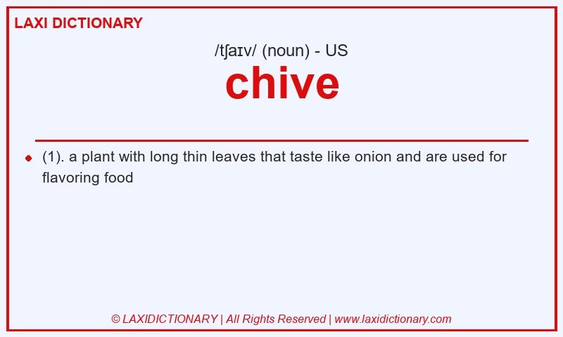 Definition chive in American English