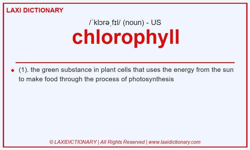 Definition chlorophyll in American English