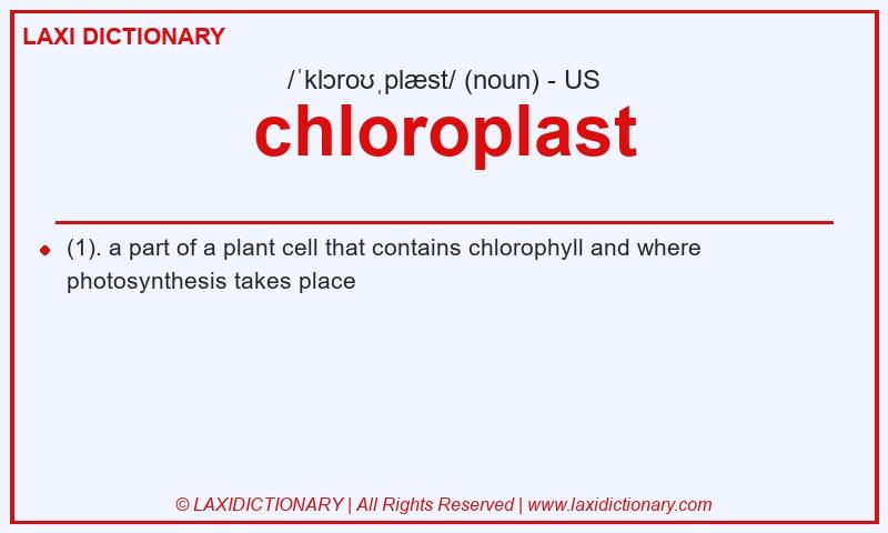 Definition chloroplast in American English