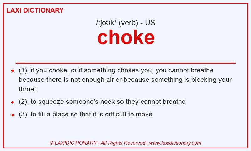 Definition choke in American English
