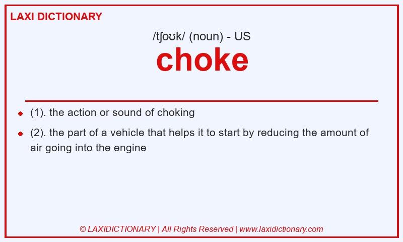 Definition choke in American English