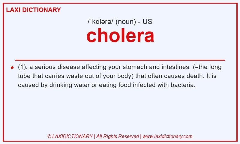 Definition cholera in American English