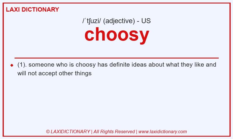 Definition choosy in American English