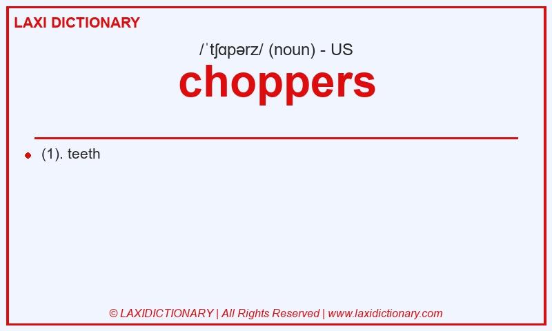 Definition choppers in American English