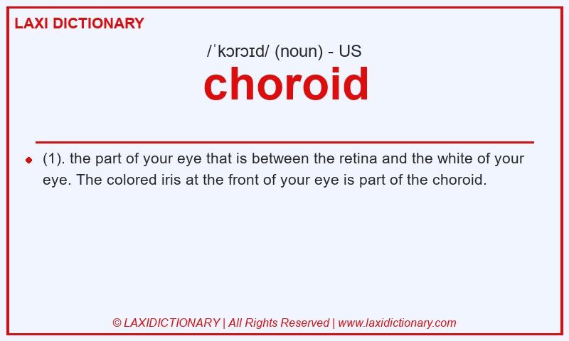 Definition choroid in American English
