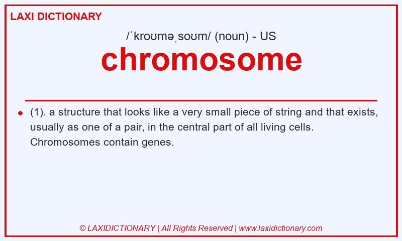 Definition chromosome in American English