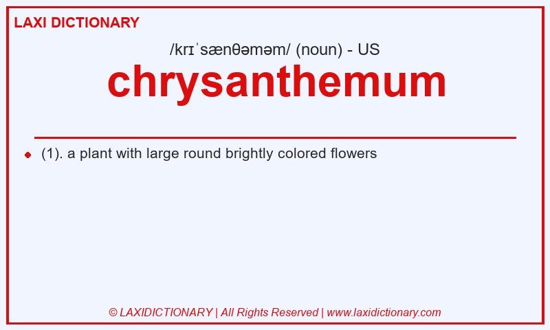 Definition chrysanthemum in American English
