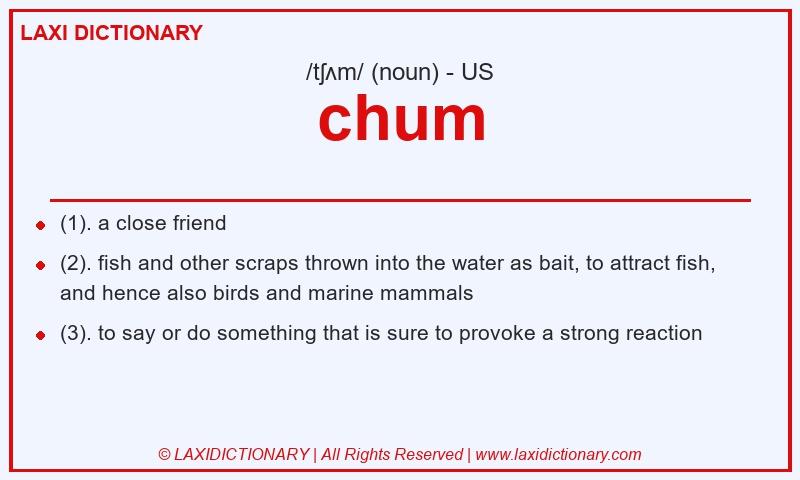 Definition chum in American English
