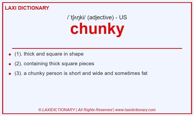 Definition chunky in American English