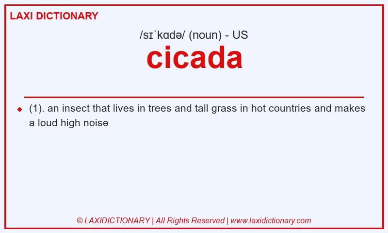 Definition cicada in American English
