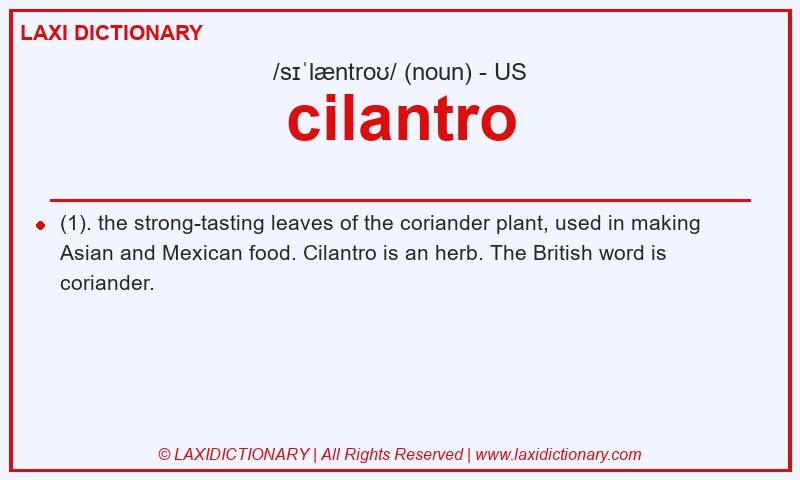 Definition cilantro in American English