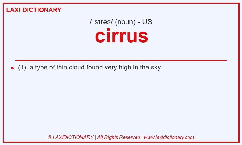 Definition cirrus in American English