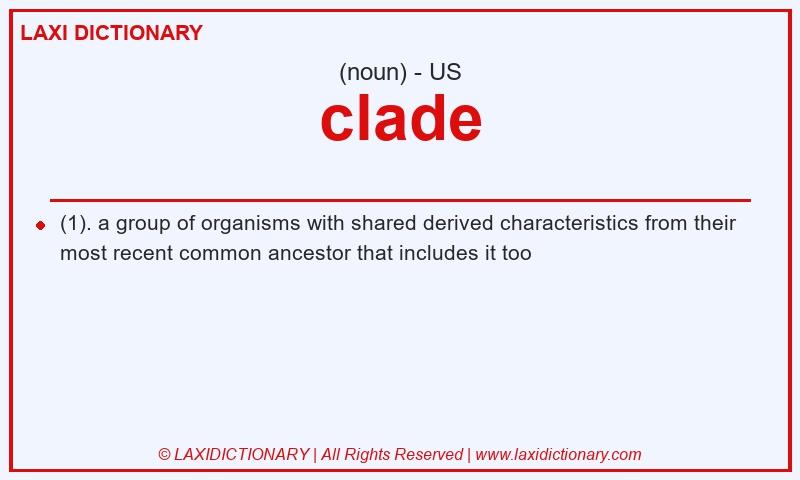 Definition clade in American English