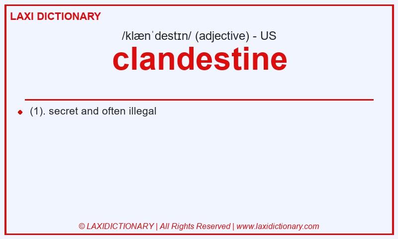 Definition clandestine in American English
