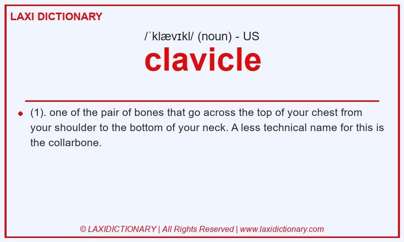 Definition clavicle in American English