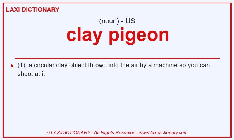 Definition clay pigeon in American English