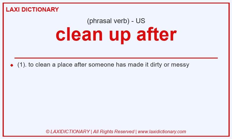 Definition clean up after in American English
