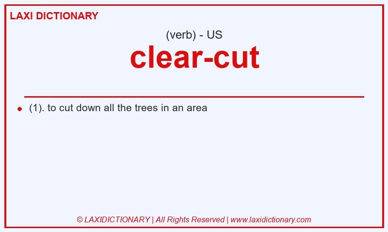 Definition clear-cut in American English