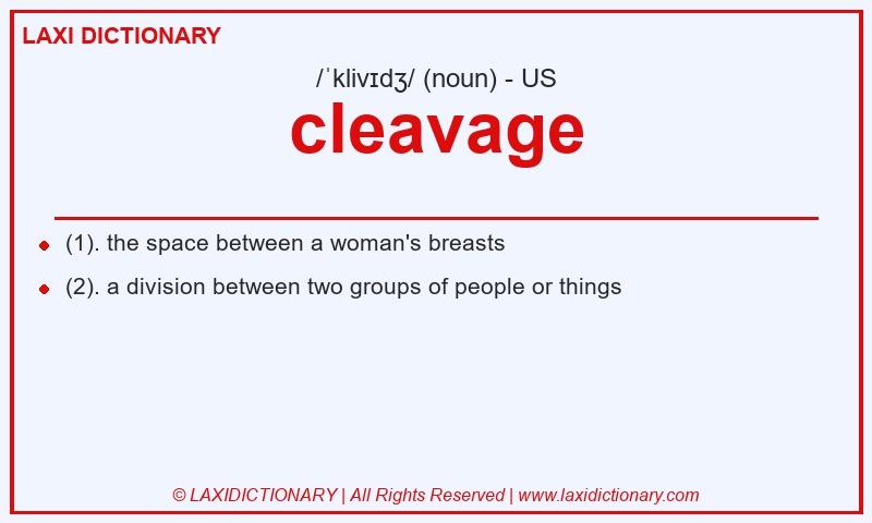 Definition cleavage in American English