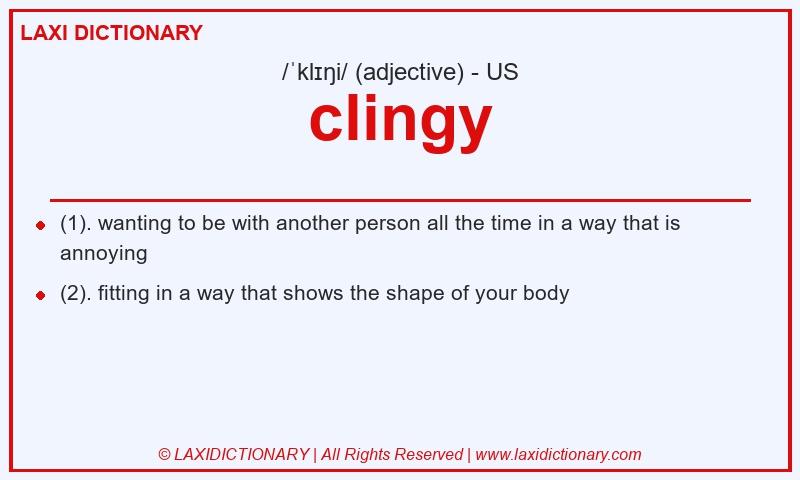 Definition clingy in American English