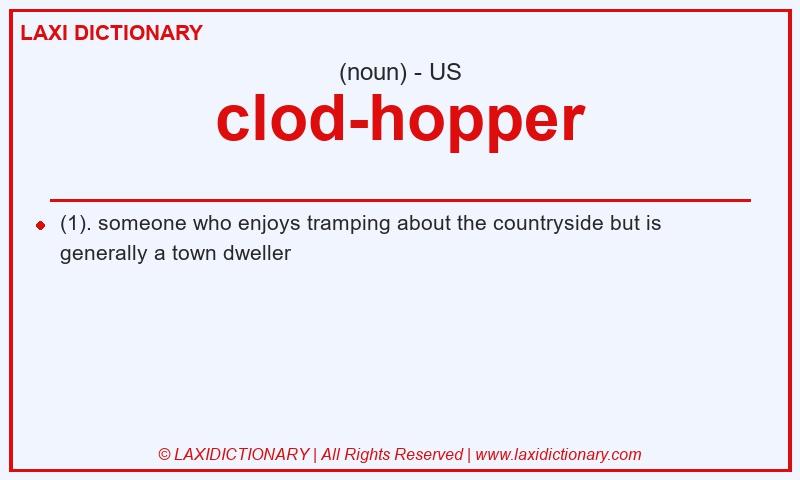 Definition clod-hopper in American English
