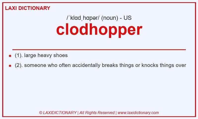 Definition clodhopper in American English