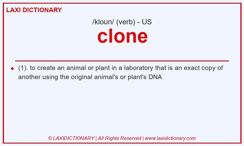 Definition clone in American English