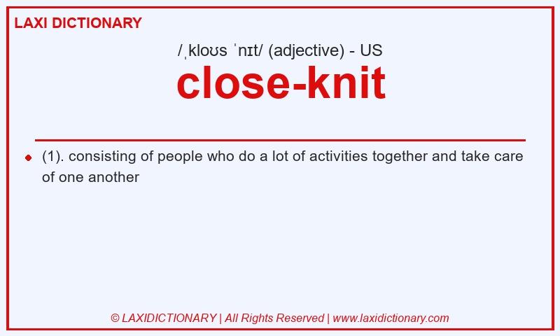 Definition close-knit in American English