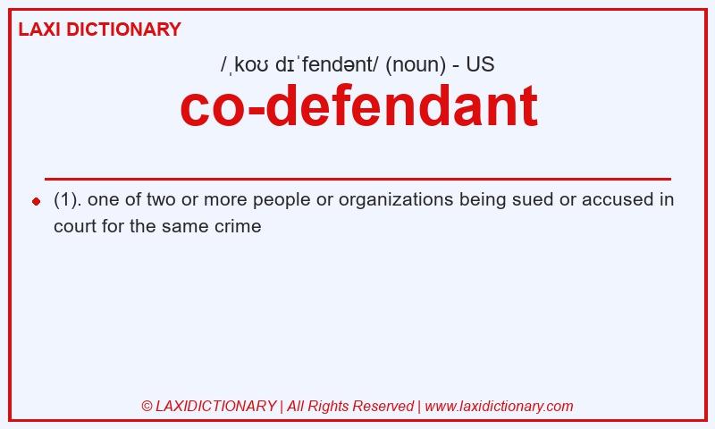 Definition co-defendant in American English