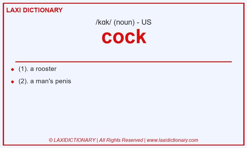 Definition cock in American English