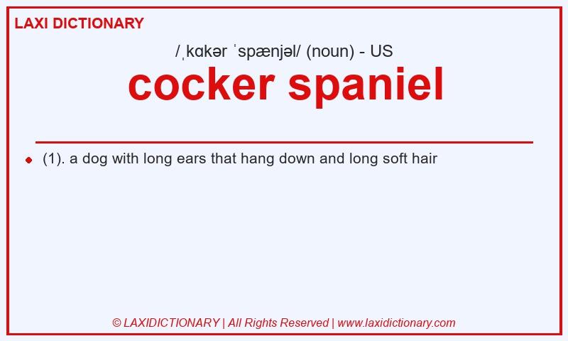 Definition cocker spaniel in American English