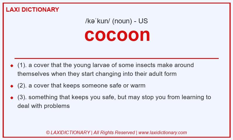 Definition cocoon in American English