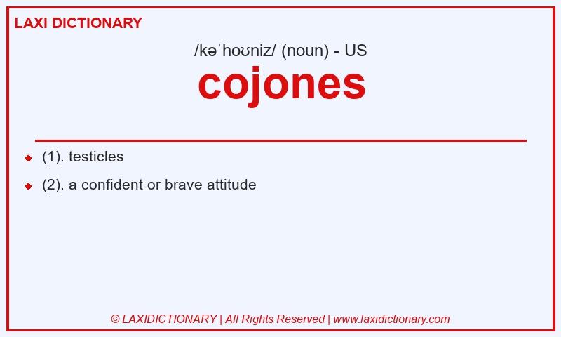 Definition cojones in American English
