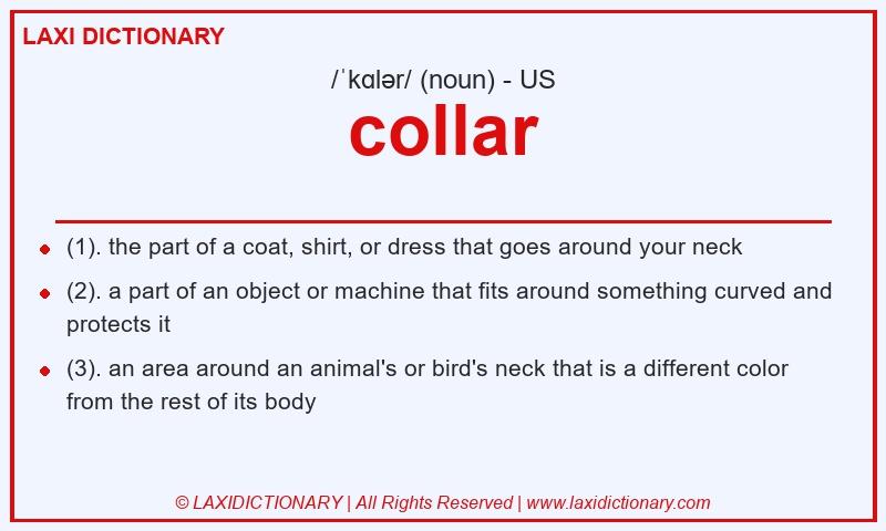 Definition collar in American English