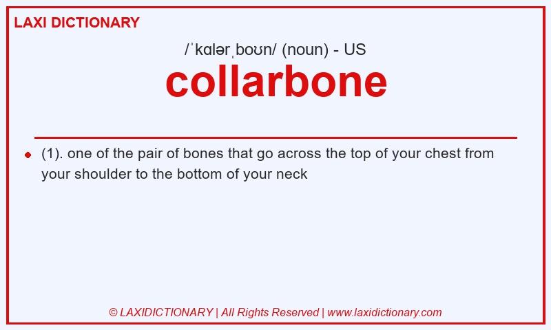 Definition collarbone in American English