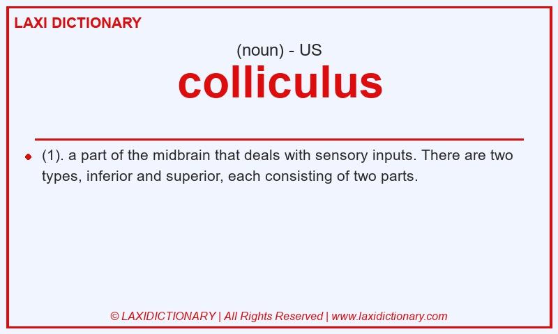 Definition colliculus in American English