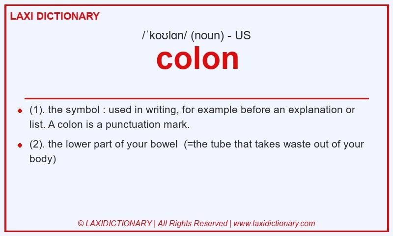 Definition colon in American English